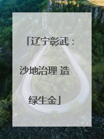 辽宁彰武：沙地治理 造绿生金