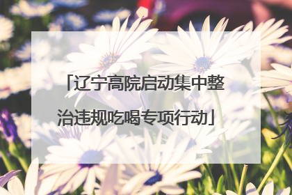 辽宁高院启动集中整治违规吃喝专项行动