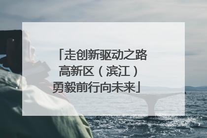走创新驱动之路 高新区（滨江）勇毅前行向未来