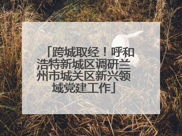 跨城取经！呼和浩特新城区调研兰州市城关区新兴领域党建工作
