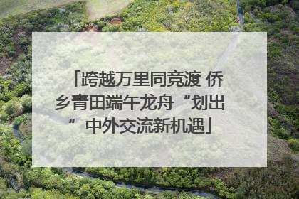 跨越万里同竞渡 侨乡青田端午龙舟“划出”中外交流新机遇