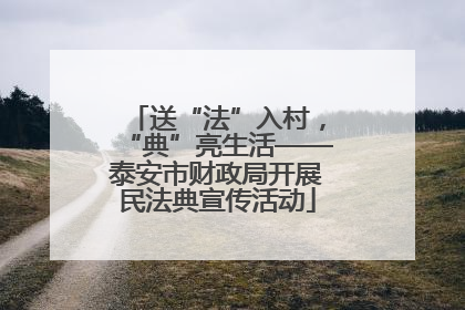 送“法”入村，“典”亮生活——泰安市财政局开展民法典宣传活动