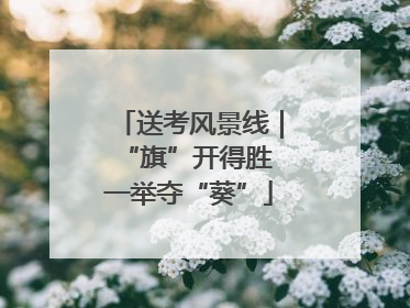 送考风景线｜“旗”开得胜 一举夺“葵”