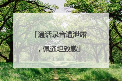 通话录音遭泄露，佩通坦致歉