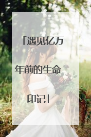 遇见亿万年前的生命印记
