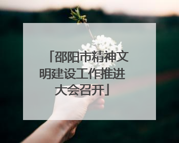 邵阳市精神文明建设工作推进大会召开