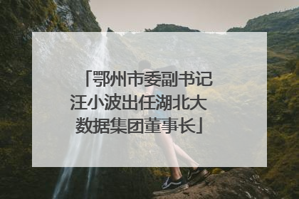 鄂州市委副书记汪小波出任湖北大数据集团董事长