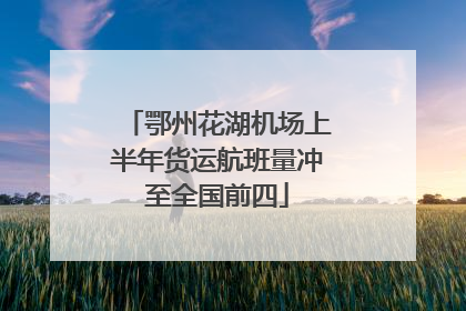 鄂州花湖机场上半年货运航班量冲至全国前四