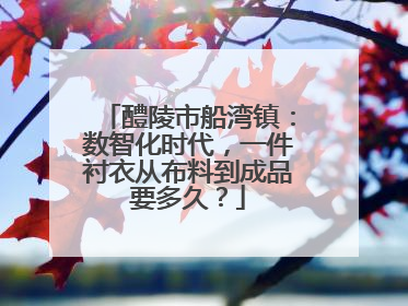 醴陵市船湾镇：数智化时代，一件衬衣从布料到成品要多久？