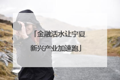金融活水让宁夏新兴产业加速跑