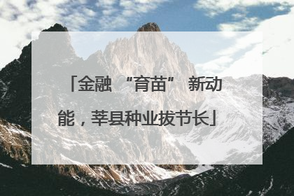 金融 “育苗” 新动能，莘县种业拔节长