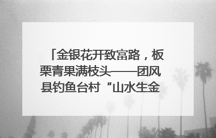 金银花开致富路，板栗青果满枝头——团风县钓鱼台村“山水生金”谱写共富新篇章