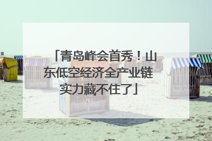 青岛峰会首秀！山东低空经济全产业链实力藏不住了