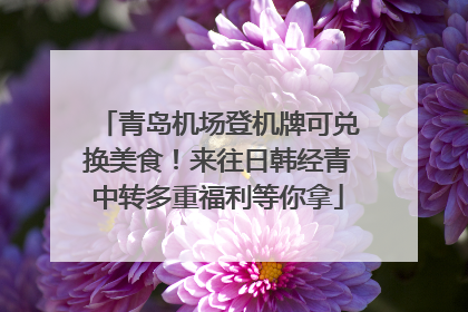 青岛机场登机牌可兑换美食！来往日韩经青中转多重福利等你拿