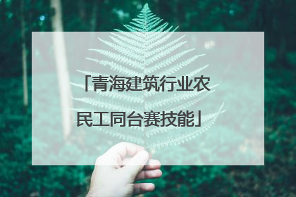 青海建筑行业农民工同台赛技能