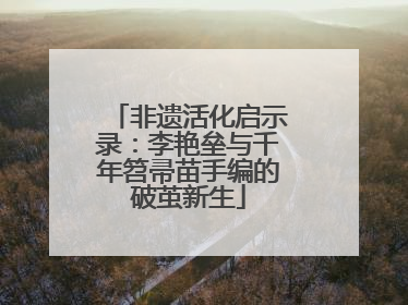非遗活化启示录：李艳垒与千年笤帚苗手编的破茧新生