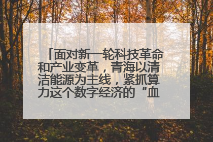 面对新一轮科技革命和产业变革，青海以清洁能源为主线，紧抓算力这个数字经济的“血液”、科技主权的“筹码”、产业升级的“杠杆”、绿色转型的“支点”，勇于撬动国家“双碳”战略、“东数西算”工程重大发展新机遇
