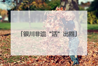 银川非遗“活”出圈