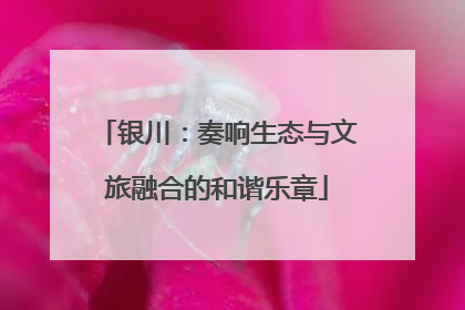 银川：奏响生态与文旅融合的和谐乐章
