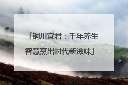 铜川宜君：千年养生智慧烹出时代新滋味