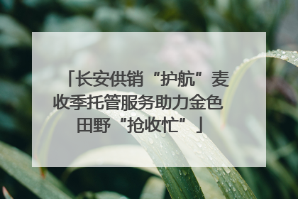长安供销“护航”麦收季托管服务助力金色田野“抢收忙”