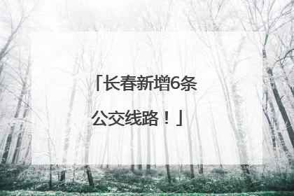 长春新增6条公交线路！