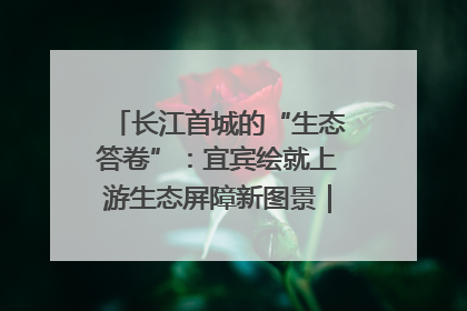 长江首城的“生态答卷”：宜宾绘就上游生态屏障新图景｜中华环保世纪行