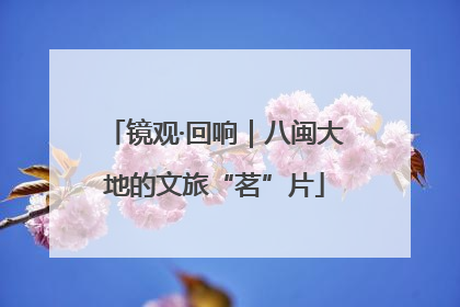镜观·回响｜八闽大地的文旅“茗”片