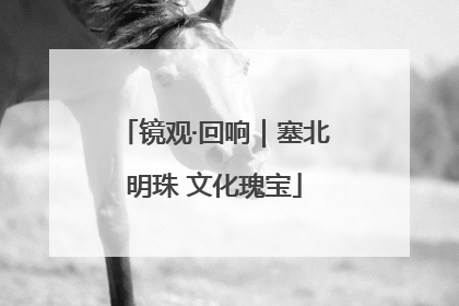 镜观·回响｜塞北明珠 文化瑰宝