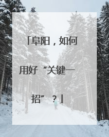 阜阳，如何用好“关键一招”？