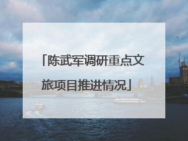 陈武军调研重点文旅项目推进情况