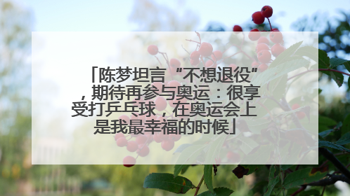 陈梦坦言“不想退役”，期待再参与奥运：很享受打乒乓球，在奥运会上是我最幸福的时候