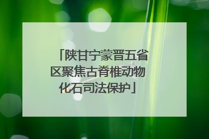 陕甘宁蒙晋五省区聚焦古脊椎动物化石司法保护