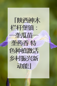 陕西神木栏杆堡镇：一垄瓜苗一垄药香 特色种植激活乡村振兴新动能