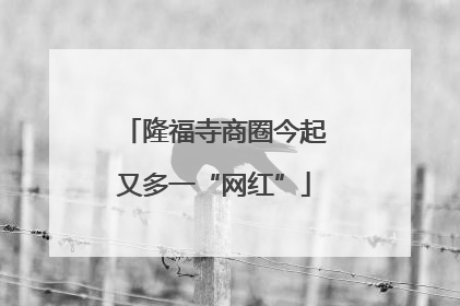 隆福寺商圈今起又多一“网红”
