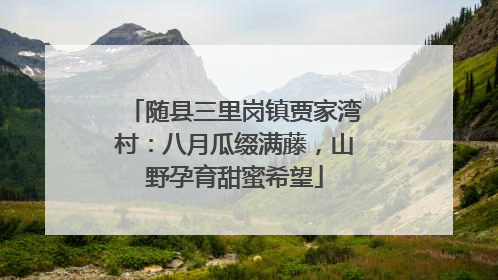 随县三里岗镇贾家湾村：八月瓜缀满藤，山野孕育甜蜜希望
