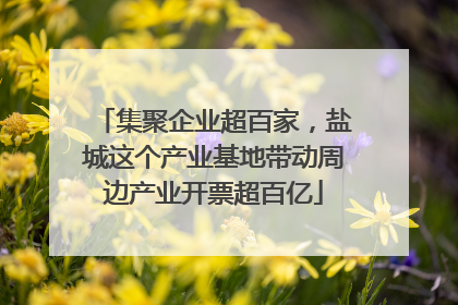 集聚企业超百家，盐城这个产业基地带动周边产业开票超百亿