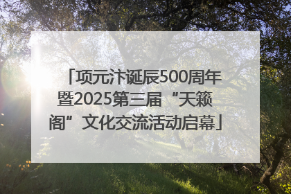 项元汴诞辰500周年暨2025第三届“天籁阁”文化交流活动启幕