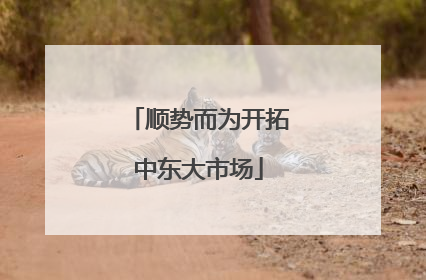 顺势而为开拓中东大市场