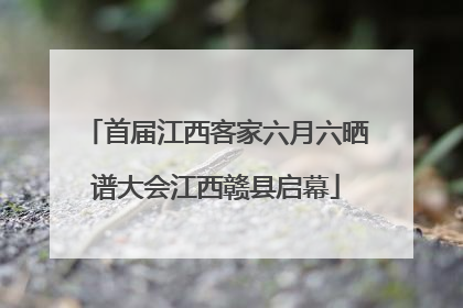 首届江西客家六月六晒谱大会江西赣县启幕