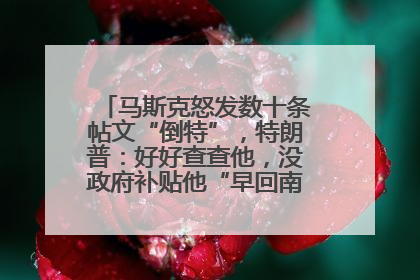 马斯克怒发数十条帖文“倒特”，特朗普：好好查查他，没政府补贴他“早回南非老家”了
