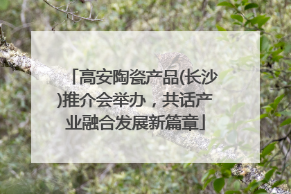 高安陶瓷产品(长沙)推介会举办，共话产业融合发展新篇章