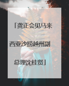 龚正会见马来西亚沙捞越州副总理沈桂贤