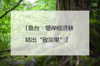 鱼台：堤岸经济林结出“致富果”