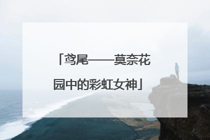 鸢尾——莫奈花园中的彩虹女神