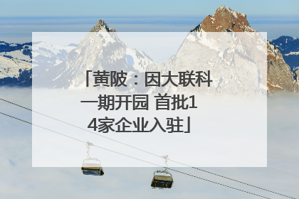 黄陂：因大联科一期开园 首批14家企业入驻