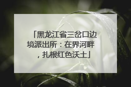 黑龙江省三岔口边境派出所：在界河畔，扎根红色沃土