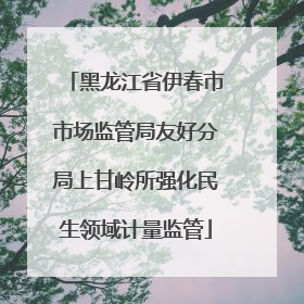 黑龙江省伊春市市场监管局友好分局上甘岭所强化民生领域计量监管
