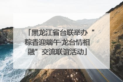 黑龙江省台联举办“粽香迎端午·龙台情相融”交流联谊活动