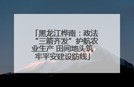 黑龙江桦南：政法“三箭齐发”护航农业生产 田间地头筑牢平安建设防线